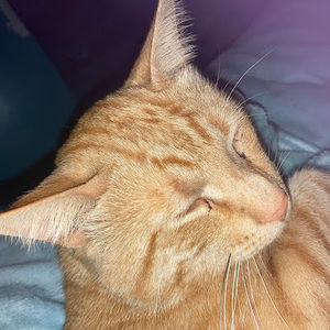 Meet your Posher, Ej2858